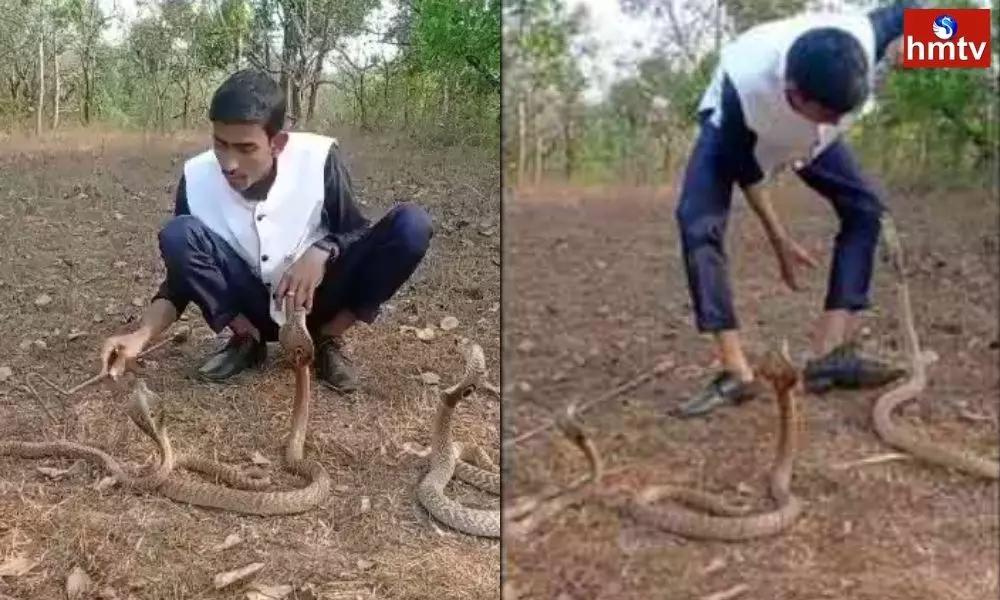 Karnataka Young Man Stunt with Three Snakes | Telugu Online News