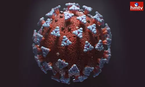 Coronavirus and Omicron Cases Increasing day by day in some Countries | Coronavirus Live Updates