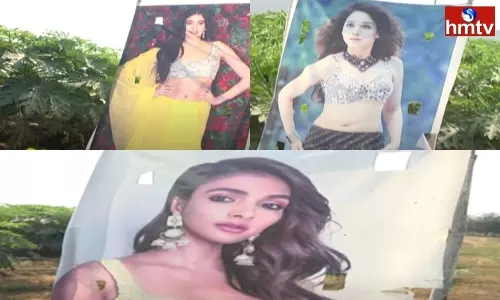 Flexi of Movie Heroines in Place of Scarecrows | TS News Today Flexi of Movie Heroines in Place of Scarecrows | TS News Today