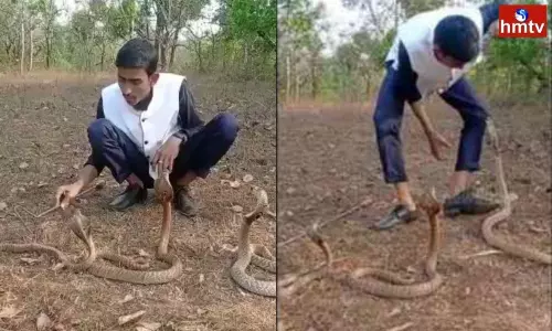 Karnataka Young Man Stunt with Three Snakes | Telugu Online News Karnataka Young Man Stunt with Three Snakes | Telugu Online News