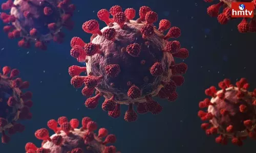 Coronavirus and Omicron Cases Increasing in South Korea China Israel | Coronavirus Live Updates