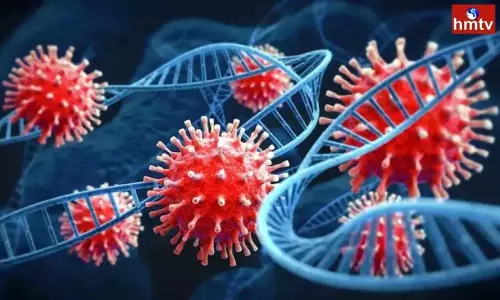 Central Govt Guidelines for Coronavirus Fourth Wave in India | Coronavirus Live Updates