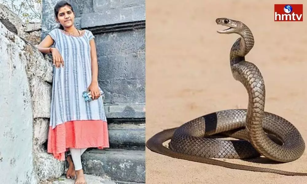 Student Dies of Snake Bite in Adilabad