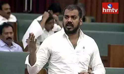 Minister Anil Kumar Yadav Comments On TDP  in AP Assembly