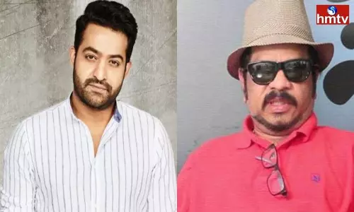 Director Geetha Krishna Comments on Jr NTR | Telugu Movie News