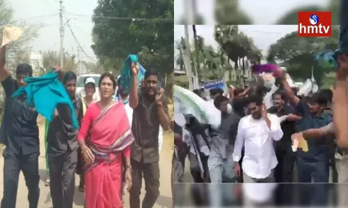 After YS Jagan, Sharmila Attacked by Honey Bees After YS Jagan, Sharmila Attacked by Honey Bees
