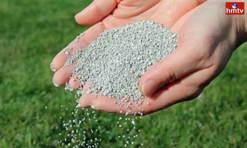 Russia Ukraine War Effect on Fertilizers in India | Live News