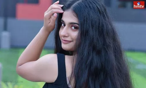 Nayanthara Chakravarthy Selected as Heroine in Gentleman 2 Movie | Director Shankar New Movie Nayanthara Chakravarthy Selected as Heroine in Gentleman 2 Movie | Director Shankar New Movie