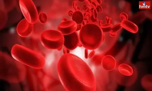 Plastic Cells Found in Human Blood in Netherlands Research on 22 Members | Breaking News Plastic Cells Found in Human Blood in Netherlands Research on 22 Members | Breaking News