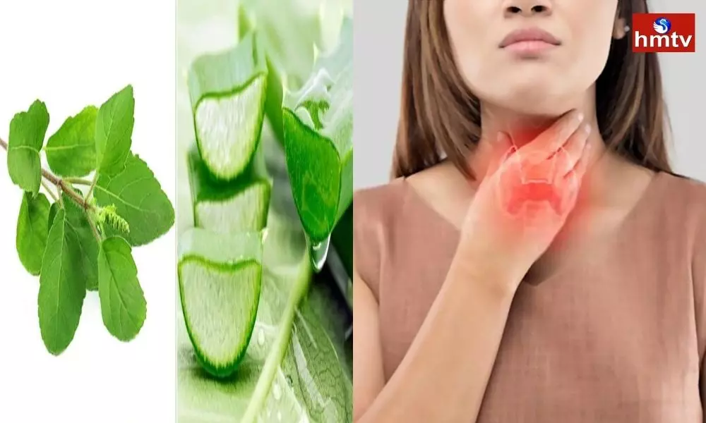 Check Thyroid With Basil and Aloe Vera