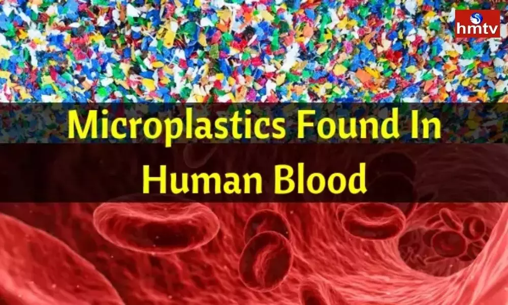 Microplastic in Human Blood Sample Do you Know How it Enters