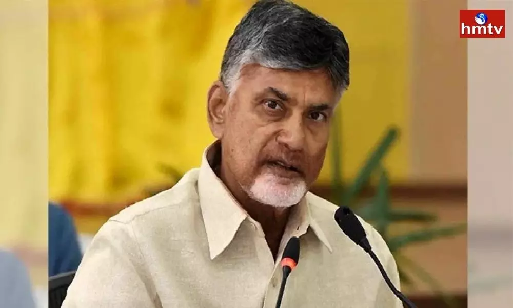 TDP Chief Chandrababu Wished TDP Activists, Leaders and Fans
