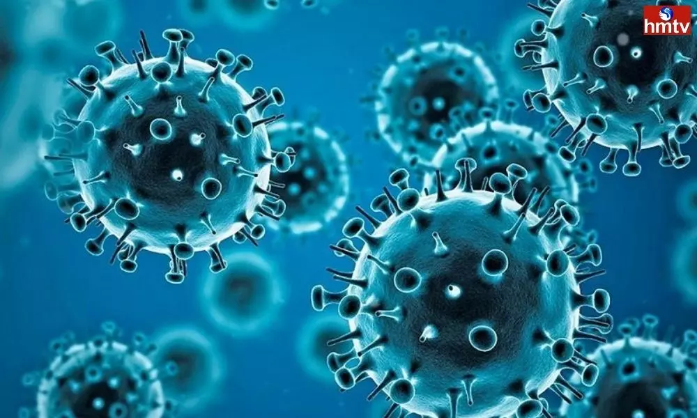 Coronavirus in China Increasing Rapidly Complete Lockdown Issued | China Corona Live Updates