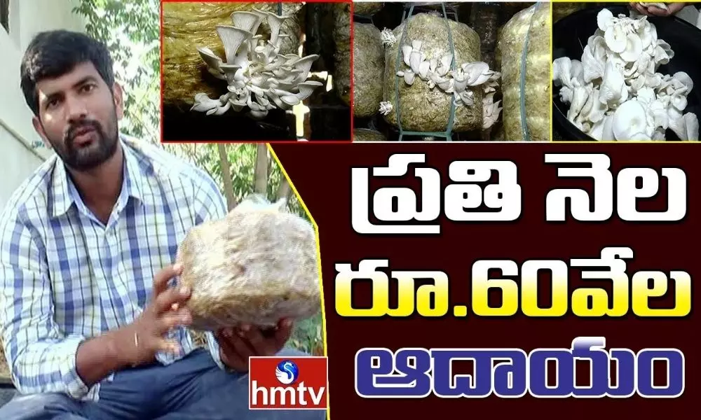 Ideal Young Farmer Goutham Cultivate Mushrooms