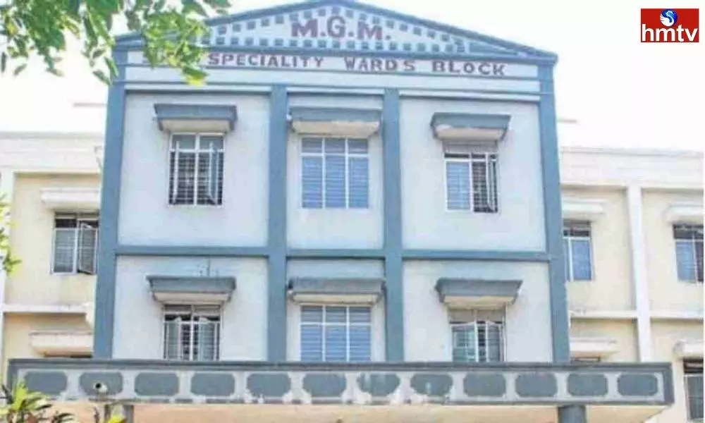 Telangana Govt Serious on Rats Biting in ICU MGM Hospital | Live News