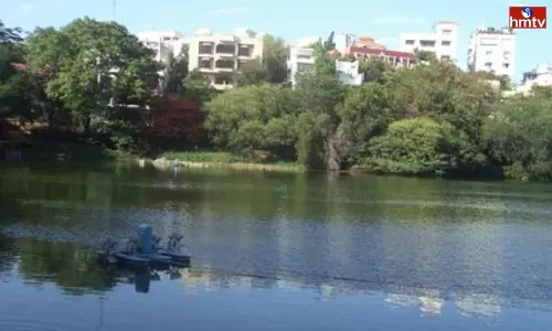 Rai Durg Lake Fishesh Dead due to Poisonous Chemicals Released into Lake | Hyderabad Latest News Rai Durg Lake Fishesh Dead due to Poisonous Chemicals Released into Lake | Hyderabad Latest News