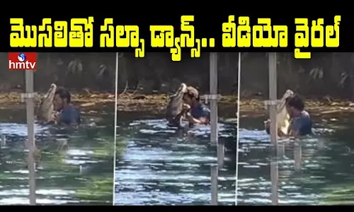 Salsa Dance With Crocodile Video Viral Salsa Dance With Crocodile Video Viral