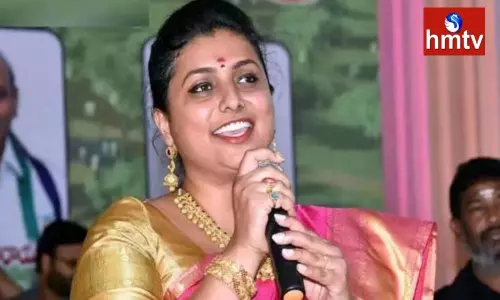 YSRCP MLA Roja About New Districts