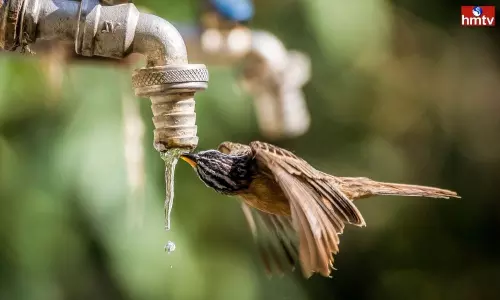 Visakha Young People Team Quenching Birds Thirst from 10 Years Through Ken Foundation | Live News