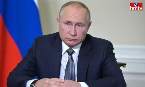 Allegations of opposition leader Alexei Navalny on Vladimir Putin Allegations of opposition leader Alexei Navalny on Vladimir Putin