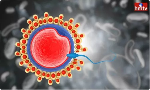 Covid 19 Effects Male Fertility