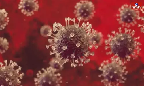 New Variants of Covid-19 in World | Telugu News