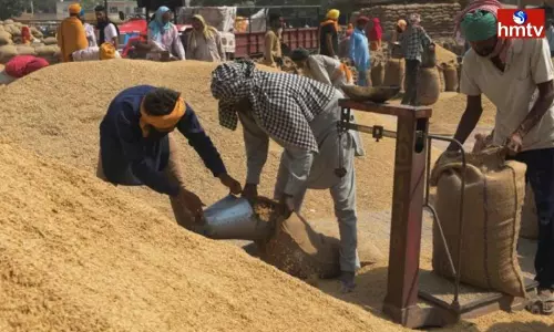 Paddy Purchasing Centers Launched in Telangana