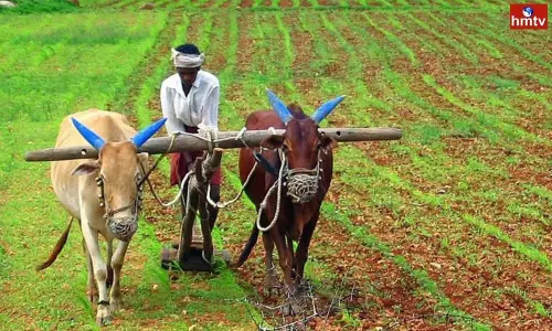 Rainy Season Farming Land Report Review and Awareness to Farmers | Live News