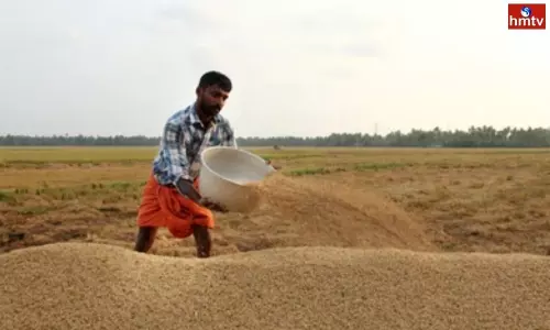 Telangana Farmers Problems to Sell Paddy Crop No Price Support Millers Cheating | Live News Telangana Farmers Problems to Sell Paddy Crop No Price Support Millers Cheating | Live News