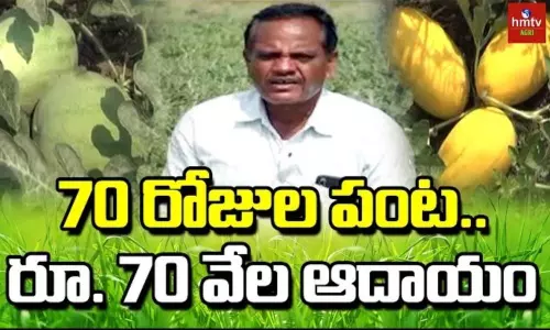 How to Grow Seedless Watermelon How to Grow Seedless Watermelon