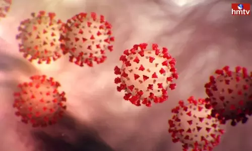 Corona Fourth Wave Spread in Telangana by June