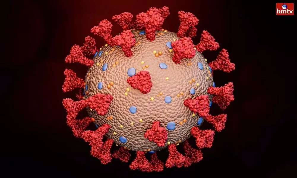 73770 Coronavirus Positive Cases Recorded Today 23 04 2022 in America | Covid Latest News