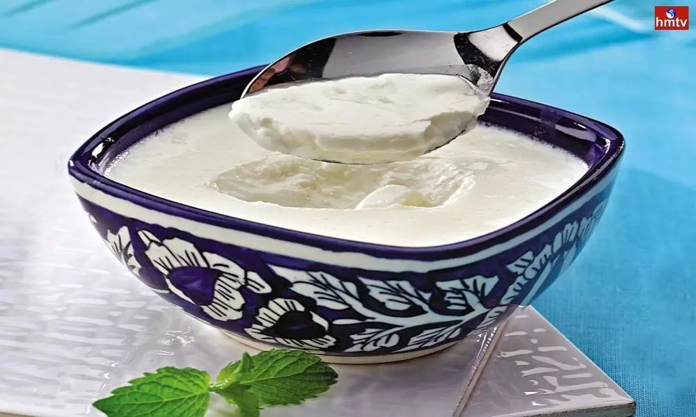 Consumption of these ingredients in Yoghurt Cures Diseases | Curd Health Benefits