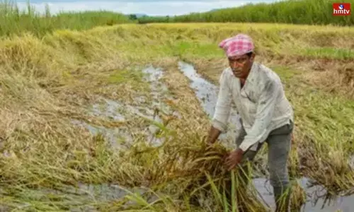 Heavy Rains in Adilabad District Huge Loss to Farmers | Live News Today
