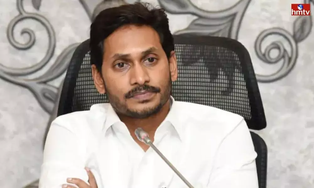CM Jagan Focused on Strengthening the Party | AP News