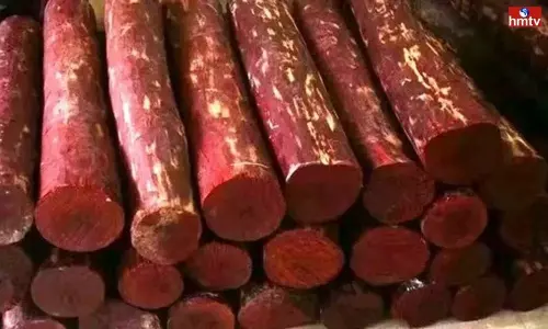 Red Sandalwood: పుష్ప సినిమాను కాపీకొడుతున్న ఎర్ర స్మగ్లర్లు Red Sandalwood: పుష్ప సినిమాను కాపీకొడుతున్న ఎర్ర స్మగ్లర్లు