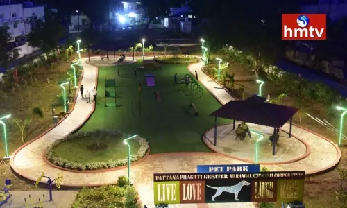 Park For Pet Dogs At Hanumakonda Park For Pet Dogs At Hanumakonda