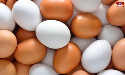 Poultry Farmers Protest At Andhra Odisha Border