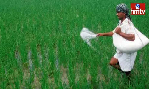 Union Cabinet Approves Increase in Fertilizer Subsidy Union Cabinet Approves Increase in Fertilizer Subsidy