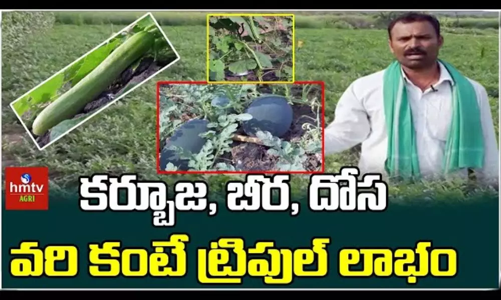 Ideal Farmer Tirupati Cultivation Organic Vegetable