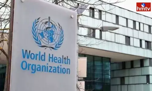 WHO Report on Covid Deaths | Telugu News