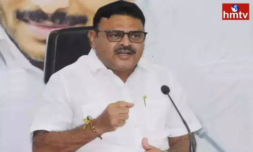 Minister Ambati Rambabu Comments on TDP Chief Chandrababu