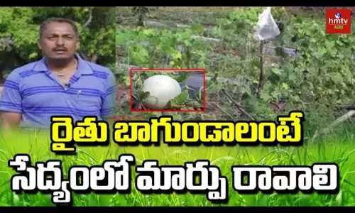 Farmer Ram Reddy Natural Farming Tips
