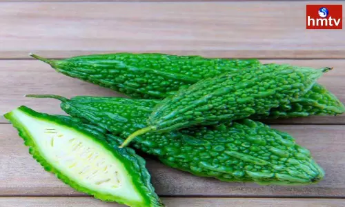 Do not Throw Bitter Gourd Seeds Very Good for Diabetic Patients