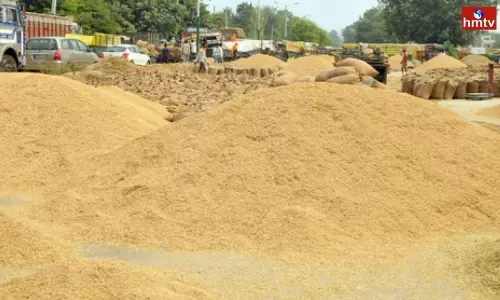 Paddy Grain Purchases in Nalgonda District
