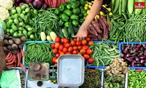 Nobody Likes These 3 Vegetables But They are High in Nutrients Nobody Likes These 3 Vegetables But They are High in Nutrients