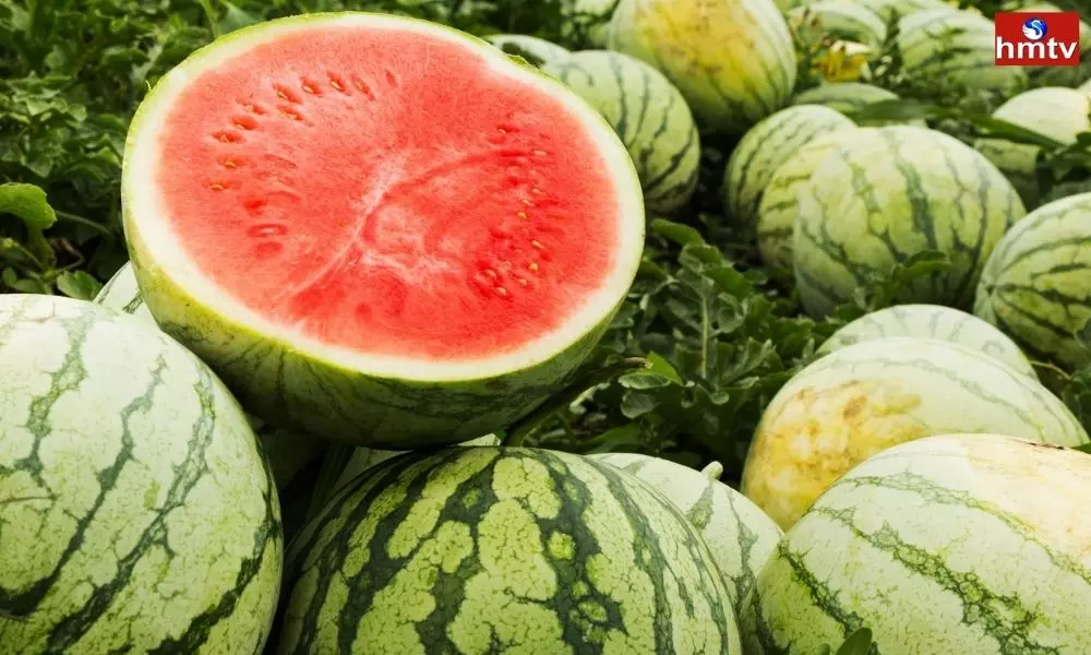 How to Spot Sweet Red Watermelon Know the Best Trick Here