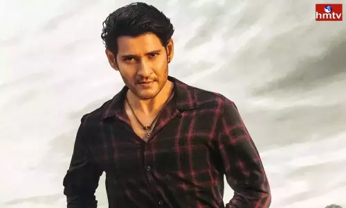 Fans Talking About How Mahesh Babu Acted in Such a Scene