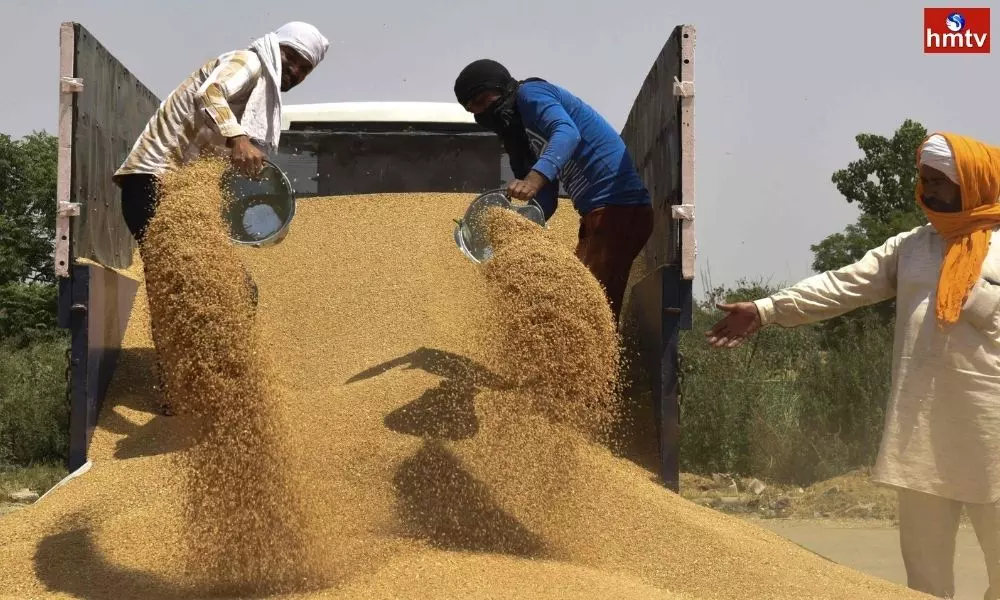 Americas Latest Request to India on Wheat Exports | International News