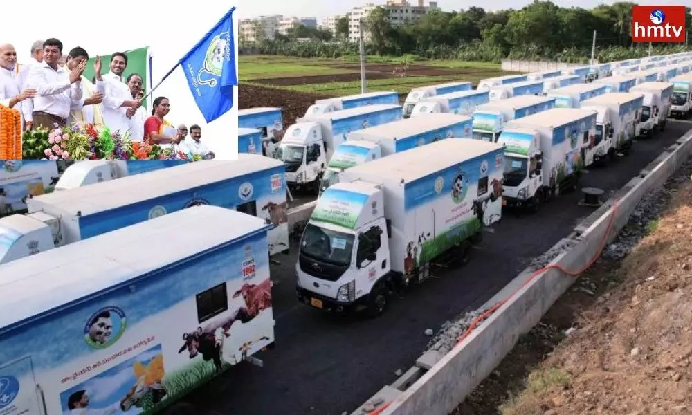 CM Jagan Launches 175 Veterinary Ambulances